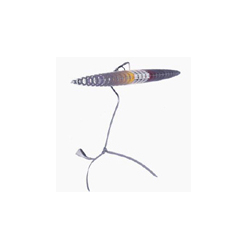 Table LampCG-08118_Office Furniture_Table Lamp_Modern Lighting